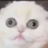 🤩