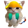 🐈