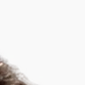 🧩