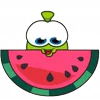 🍉