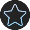 🌟