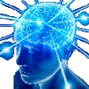 🧠