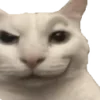 😼