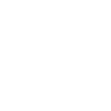🇸🇪