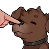 🐶
