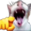 🫵