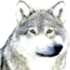 🐺