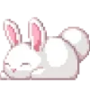 🐇