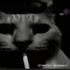🚬