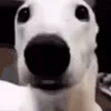 😱