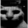 😨