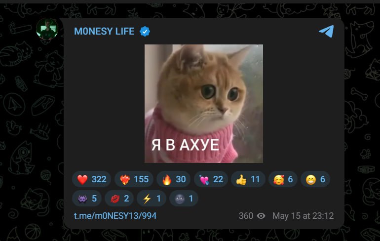 Тут есть хоть один человек, кто не в ахуе?