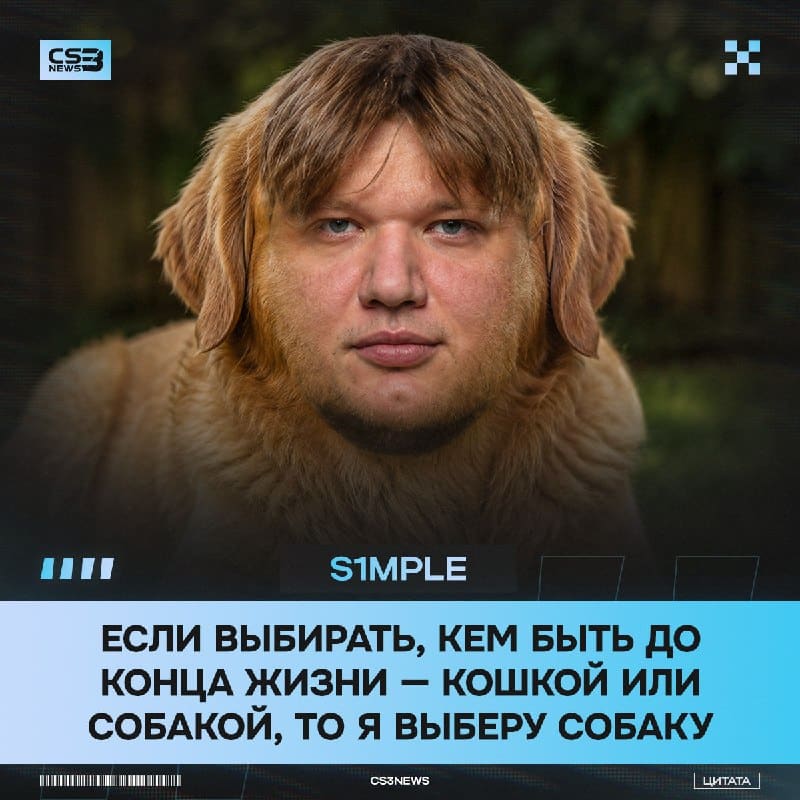 Вторая часть легендарного опроса игроков от Perfect World: