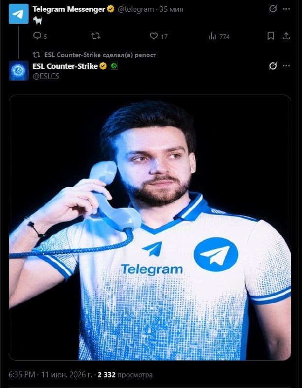 Ало, Дуров, помоги NiKo выиграть в этом матче.