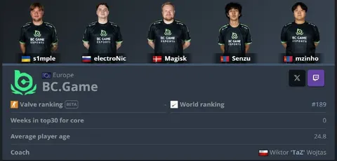 Будущим чемпионам мейджора обновили профили на HLTV.