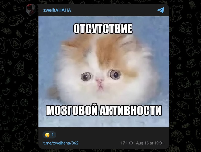 Zweih коротко про вылет с чемпионата мира.
