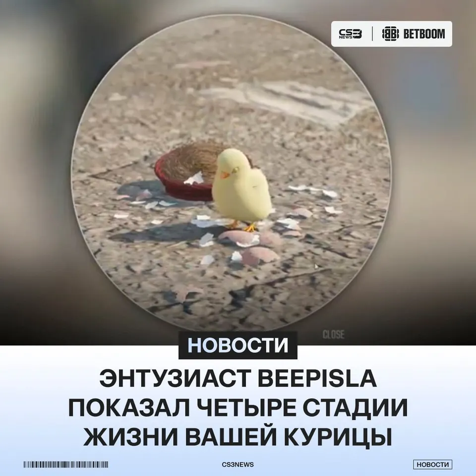Медиа Telegram