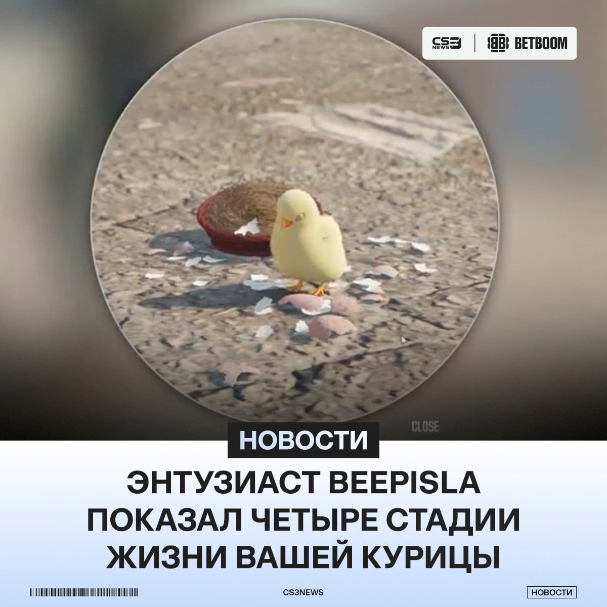 Медиа Telegram