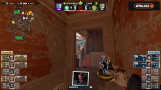 Медиа Telegram