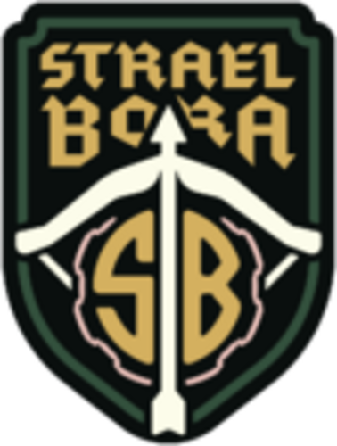 Логотип Strael Bora