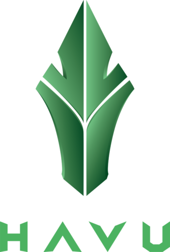 Логотип HAVU