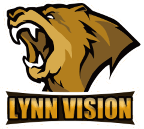 Логотип Lynn Vision