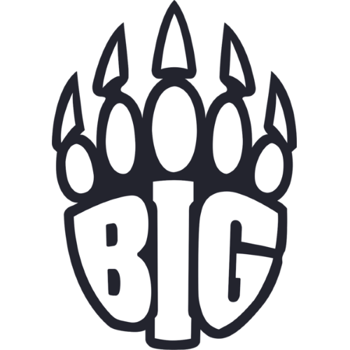 Логотип BIG Academy